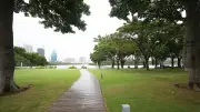 Hành trình hồi sinh hồ Vân Đang: Từ hồ nước chết thành biểu tượng xanh