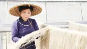 Hành trình miến dong Tài Hoan từ vùng cao Côn Minh chinh phục thị trường EU
