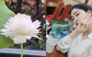 Hoa hậu Nguyễn Thị Huyền mê mẩn nuôi sen trong vườn nhà