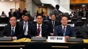 Hợp tác y tế toàn cầu: Bài học từ đại dịch và thách thức mới