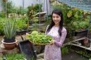 Á hậu Thúy An biến tầng thượng 200m2 thành vườn rau xanh mát tại nhà phố