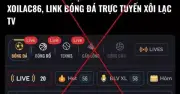 Hậu trường các kênh bóng đá lậu Xôi Lạc TV, CakhiaTV, RakhoiTV
