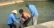Đi câu cá cùng em trai, thiếu niên 16 tuổi trượt chân tử vong