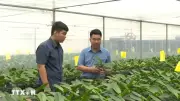 Đại hội IX Hội Nông dân Việt Nam: Xây dựng nền nông nghiệp hiện đại, thân thiện