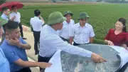 Điện Biên đẩy mạnh thu hút đầu tư nhà ở xã hội với cơ chế luồng xanh