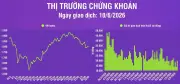 Infographic chứng khoán ngày 10/6: VN-Index tăng 10,66 điểm, khối lượng giao dịch khớp lệnh tăng 83%