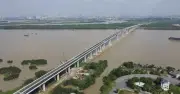 Điều chỉnh dự án cầu Nhơn Trạch 2: Tăng vốn hơn 2.731 tỉ đồng
