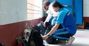 Kỳ thi tốt nghiệp THPT 2026: Phát hiện thí sinh dùng điện thoại, sự cố chập điện