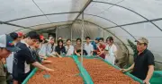 Khe Sanh kể chuyện hòa bình qua cà phê: Hành trình 100 năm