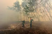 Khói phủ kín một vùng do cháy rừng, hàng trăm người căng mình dập lửa