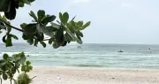 Khi trẻ nghỉ hè: Gánh nặng chi phí và nỗi lo của cha mẹ hiện đại