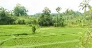 Khi trẻ nghỉ hè: Niềm vui và nỗi lo của gia đình hiện đại