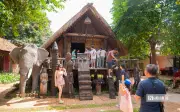 Khám phá buôn Akô Dhông: 'Buôn làng trong phố' giữa lòng Buôn Ma Thuột