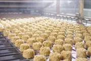 Khám phá quy trình sản xuất mì ăn liền tại Acecook Việt Nam