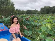 Khám phá rừng tràm Trà Sư: Bản giao hưởng xanh giữa miền Tây mùa nước nổi