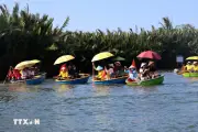 Khám phá trải nghiệm thuyền thúng giữa rừng dừa Cẩm Thanh