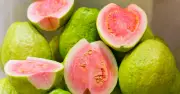 Không chỉ giàu vitamin C, ổi còn giúp cải thiện thiếu máu hiệu quả