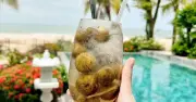 Không chỉ làm nước giải nhiệt, quả sấu còn nhiều công dụng với sức khỏe