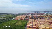 Khu thương mại tự do Cái Mép Hạ: Dự án chiến lược kinh tế biển TP Hồ Chí Minh