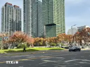 Khung cảnh mùa thu tuyệt đẹp tại thủ đô Buenos Aires của Argentina