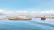 Kinh tế biển Việt Nam chuyển mình mạnh mẽ sau 8 năm thực hiện Nghị quyết 36
