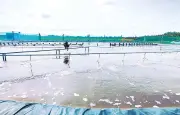 Kinh tế trang trại Cần Thơ: Phát triển nhưng còn nhiều khó khăn