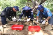 Kết hợp tài liệu Mỹ và nhân chứng xác định mộ liệt sỹ tại Công viên Lê Thị Riêng
