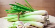 Lý do người xưa trồng cây sả quanh nhà: Không chỉ là gia vị