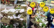Lễ hội Trái cây Đồng Tháp: Tiểu cảnh bị lấy trái cây ngay khi khai mạc