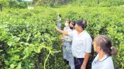 Lan tỏa giá trị của y học cổ truyền trong chăm sóc sức khỏe cộng đồng