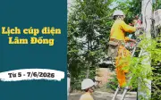 Lịch cúp điện Lâm Đồng từ ngày 5-7/6/2026: Những khu vực bị cúp điện liên tục