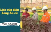 Lịch cúp điện Tây Ninh, Long An từ ngày 2-7/6/2026: Danh sách khu dân cư và tuyến đường bị mất điện xếp hàng dài