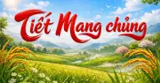 Lịch âm dương hôm nay 2.6: Ngày Đinh Mùi, tiết Mang chủng sắp tới