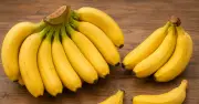 Lợi ích sức khỏe của chuối và cách bảo quản đúng