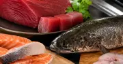 Lợi ích sức khỏe tuyệt vời của cá đối với người lớn tuổi