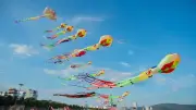 Liên hoan diễu nghệ thuật và chương trình ẩm thực hưởng ứng Năm Du lịch quốc gia Gia Lai 2026