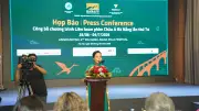 Liên hoan phim châu Á-Đà Nẵng 2025: Nhiều điểm mới hấp dẫn khán giả