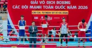 Liên đoàn Quyền anh Việt Nam vi phạm điều lệ?