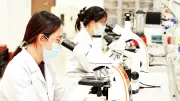 Làm chủ công nghệ chiến lược: Động lực tăng trưởng mới cho Việt Nam