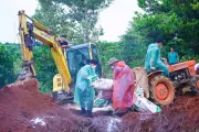 Lâm Đồng: Phát hiện ổ dịch tả heo châu Phi tại hộ dân, tiêu hủy 40 con