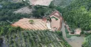 Lấn đất nhà nước, làm biến dạng địa hình, bị phạt 70 triệu đồng