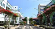 Lần đầu tổ chức lễ tuyên phong Chân phước tại Việt Nam: Hành trình 13 năm