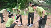 Lạng Sơn hưởng ứng Ngày Thế giới chống sa mạc hóa, trồng 1,5 triệu cây xanh