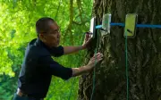 Lương Triều Vỹ làm Chủ tịch ban giám khảo Liên hoan phim Thượng Hải 2025