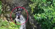 Lào Cai: Bắt nghi phạm sát hại bé trai 12 tuổi sau 8 giờ lẩn trốn