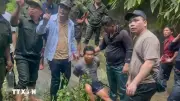 Lào Cai bắt nghi phạm sát hại cháu bé 12 tuổi sau 8 giờ gây án