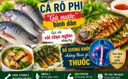 Loại cá được ví như gà nước giá chỉ từ 70 nghìn đồng/kg tốt cho xương khớp tuổi trung niên