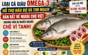 Loại cá giàu omega-3 hỗ trợ não và tim giá rẻ ngoài chợ Việt
