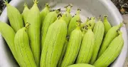 Loại quả dân dã giúp giải nhiệt mùa hè và 3 điều cần tránh khi ăn