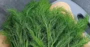 Loại rau gia vị bán đầy chợ: Trị cảm, giảm đau bụng kinh cực tốt